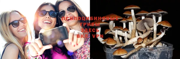 кокс Абдулино
