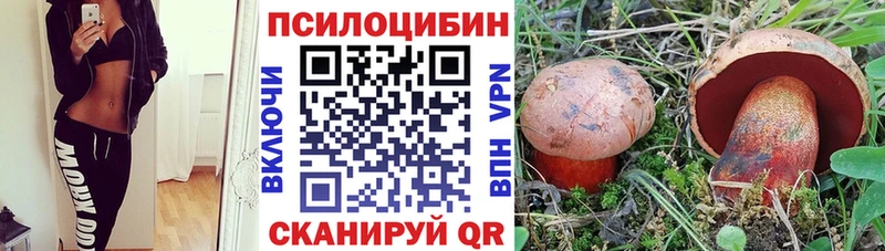Псилоцибиновые грибы мицелий  Саранск 
